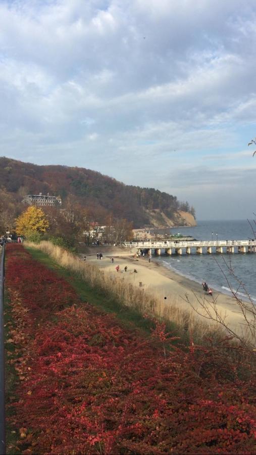 Przy Plazy Orlowo Leilighet Gdynia